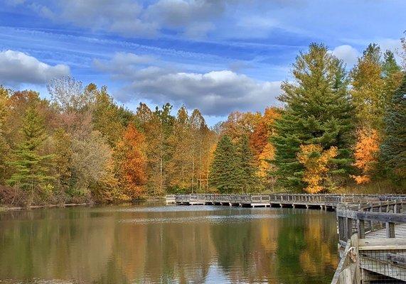 Swim and canoe area