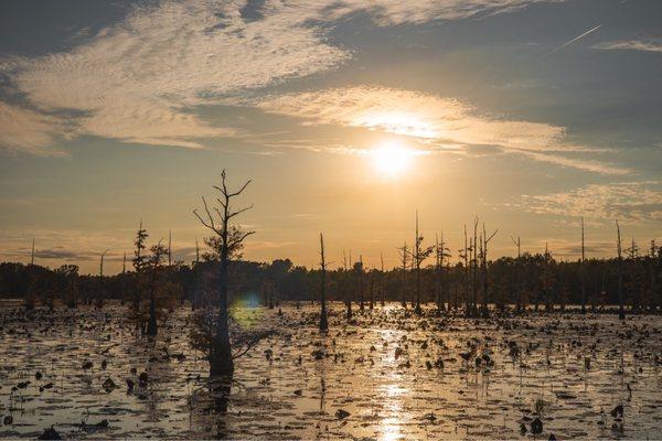 Black Bayou at Golden Hour.