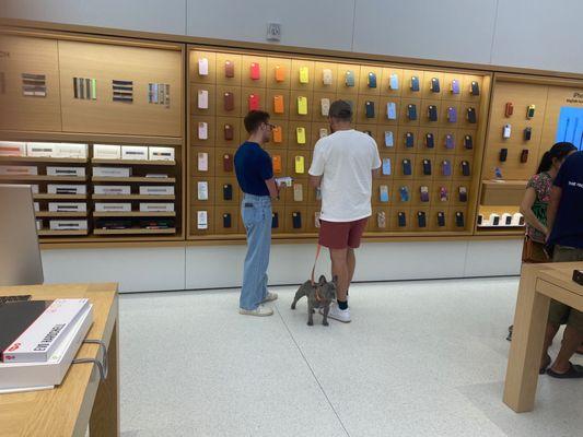 Apple Store