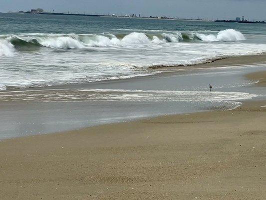 Big waves rolling in