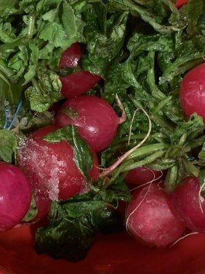 Frozen radishes 3days in the fridge