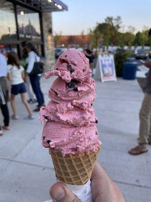 Black cherry. Or as I like to call it heaven in a waffle cone.