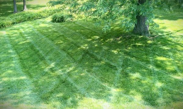 Contact SK Lawn Care at www.sklawncarekc.com