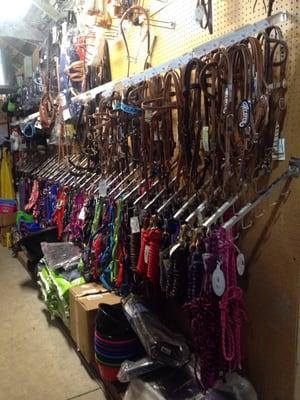 Halters in every color