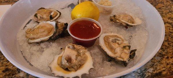 Raw oysters