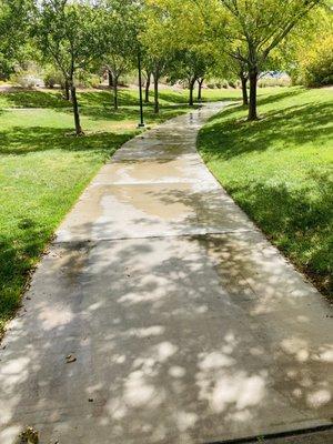 This path is generally watered down from the sprinklers.