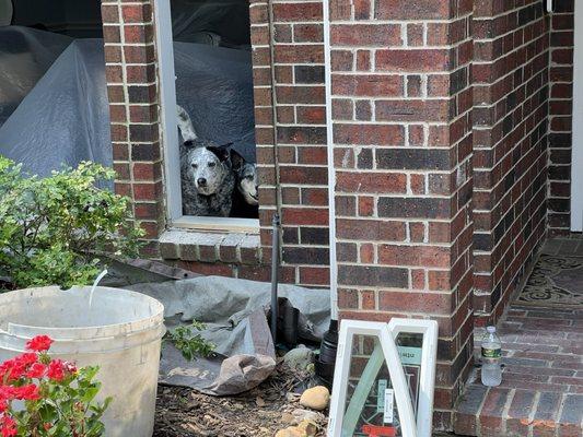 Removing the windows