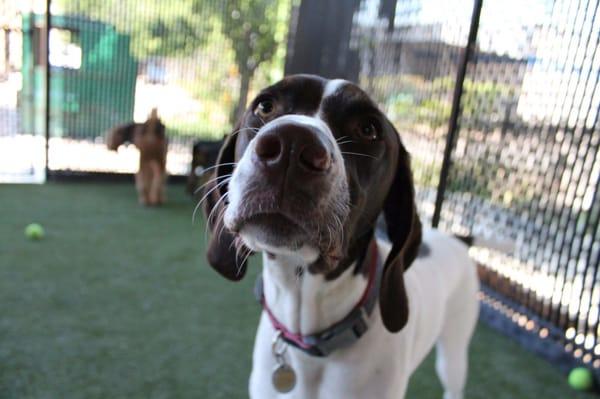 Are you gonna throw me a ball or what?