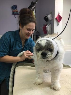 Here's a client sporting his Happy Hoodie during drying. Lindsay uses a Happy Hoodie to help reduce stress and keep our client's pups happy!