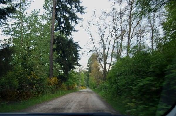 Dirt road leading to the Green Cat B&B