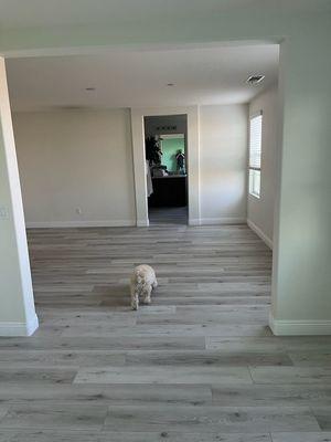 New flooring