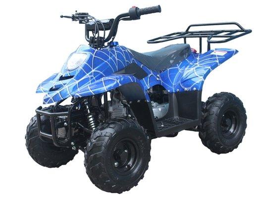 We carry a full line of Kid's quads.  This is the 110.  Remote kill switches and engine speed adjustments.