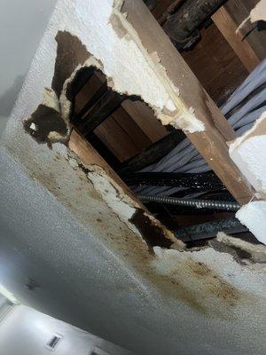 Water damage in hallway