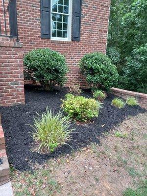 Trimming hedges