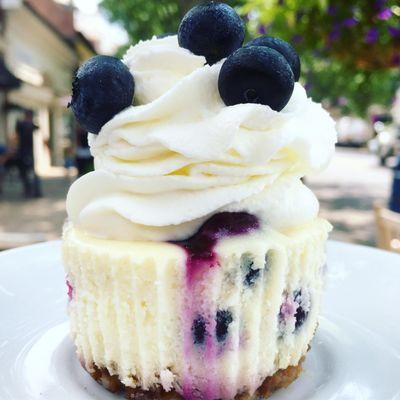 Lemon Blueberry Cheesecake