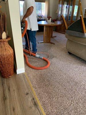 A-1 Carpet Cleaning Cleaners