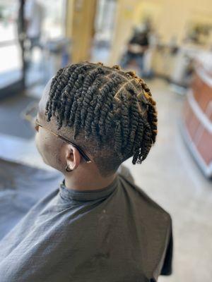 Two Strand Twists