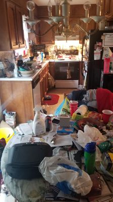 Just another day in the life of a Hoarding Cleaner.