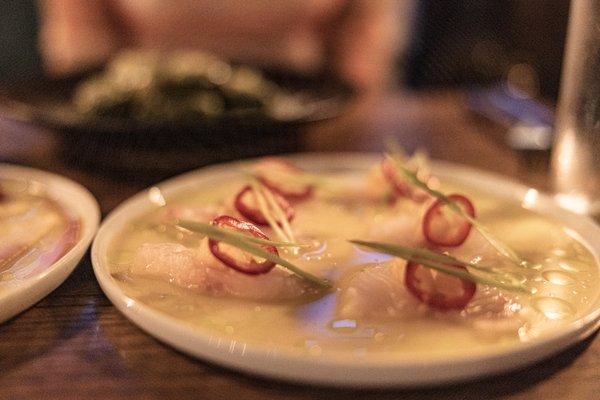 Snapper Crudo