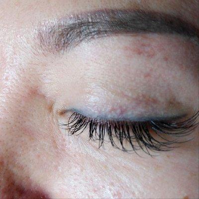 Lash Extensions