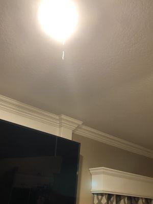 Leak from ceiling