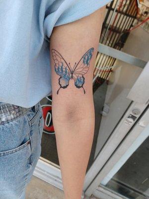 Blue Butterfly