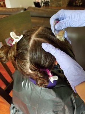 lice treatment service