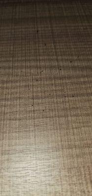 Roach droppings on dresser top