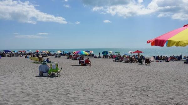 Manasota Beach in Venice