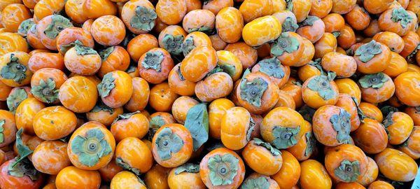 Persimmons