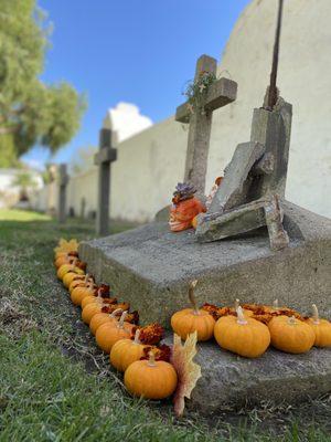 Calaveras skulls pumpkins on grave