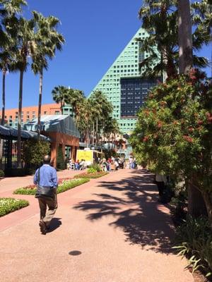 Big line at lunch for the truck in front of the Dolphin