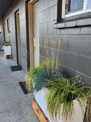 Even the plants and the color choices of how they repainted this whole place gave it a hip, modern feel.