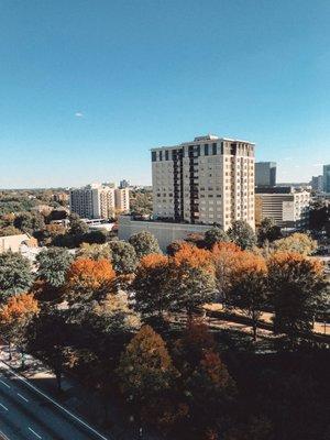 view from balcony