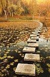 Pathway in the lake courtesy of www.freedigitalphotos.net