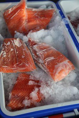 Fresh Salmon...individually wrapped.