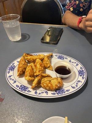 pork fried dumplings