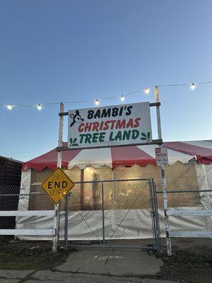 Bambi's Christmas Tree Land sign