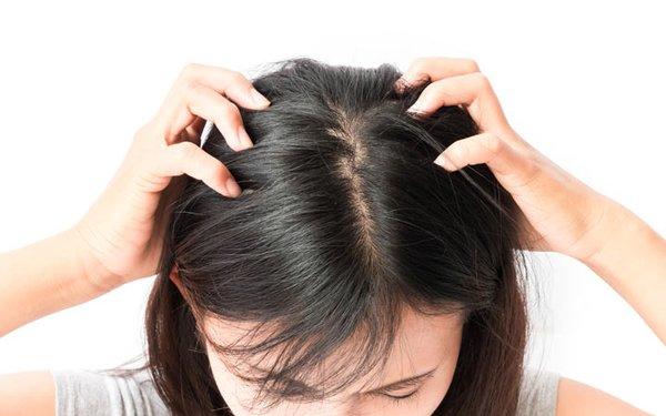 We are here to help you to get rid of lice and nits.