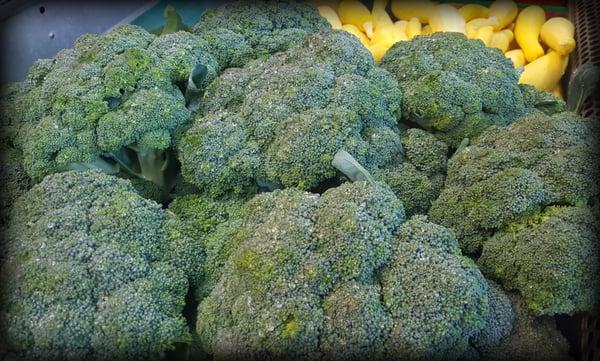 Homegrown broccoli