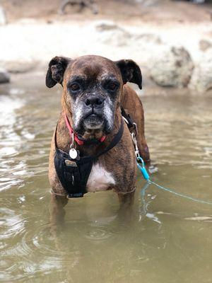 Petey on a bucket list trip!