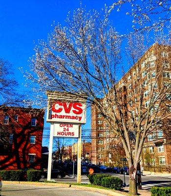 CVS, Locust St. -- Spring