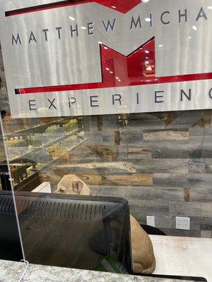 Aveda - Matthew Michael's Salon Experience