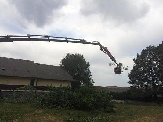 We absolutely love our crane! Removal in Parker, Colorado