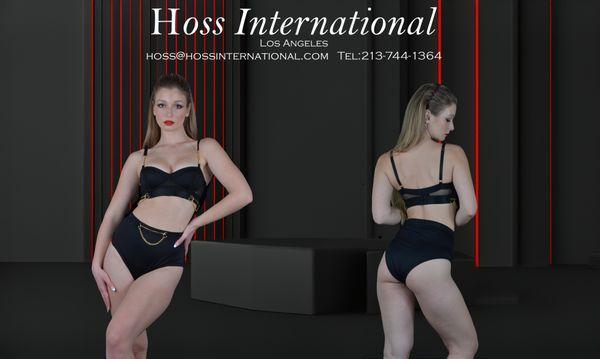 www.hossinternational.com