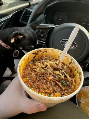 Birria Ramen (and a begging Chihuahua)