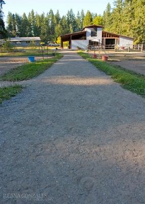 View from the arena looking towards the barn.