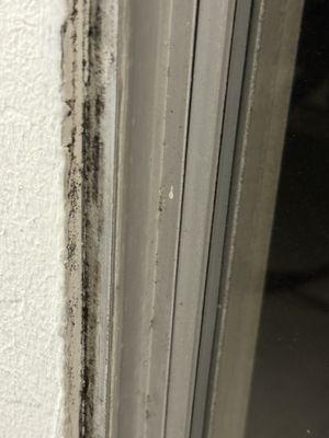 Could this be mold around the frame of sliding door?