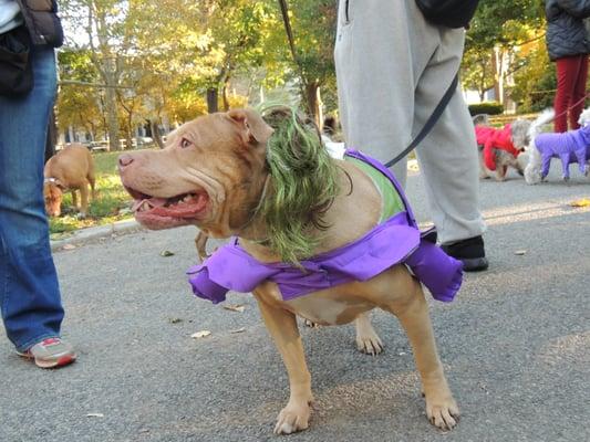 Halloween costume contest