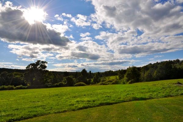 The back yard at the Inn at Mount Pleasant